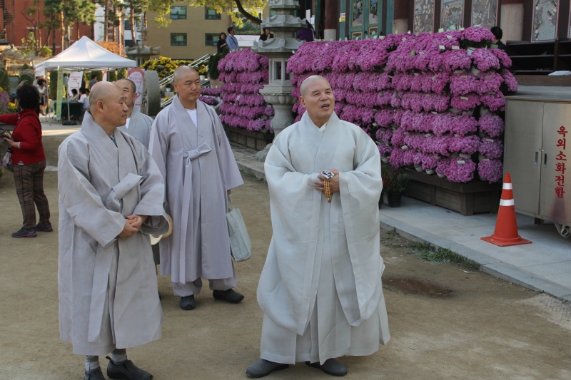 2014.10.10_조계사 국화(사서실) (70)